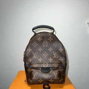 Louis Vuitton Palm Springs mini